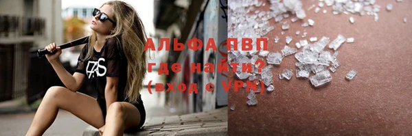 прущие грибы Новочеркасск