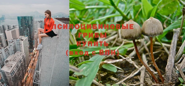 спайс Волгодонск
