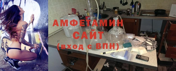 прущие грибы Новочеркасск