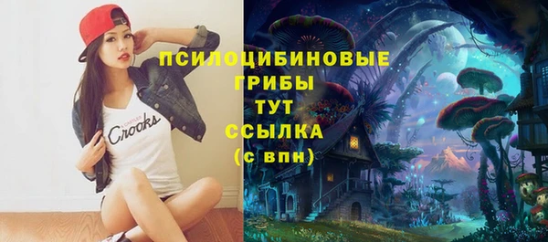 дмт Уссурийск