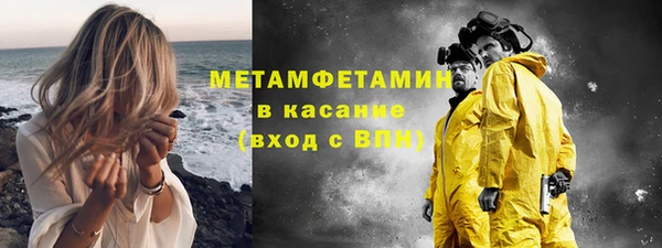 прущие грибы Новочеркасск