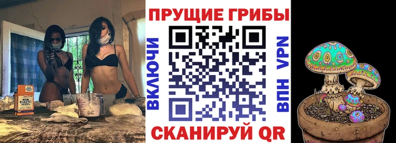 купить   Ейск  Галлюциногенные грибы Cubensis 