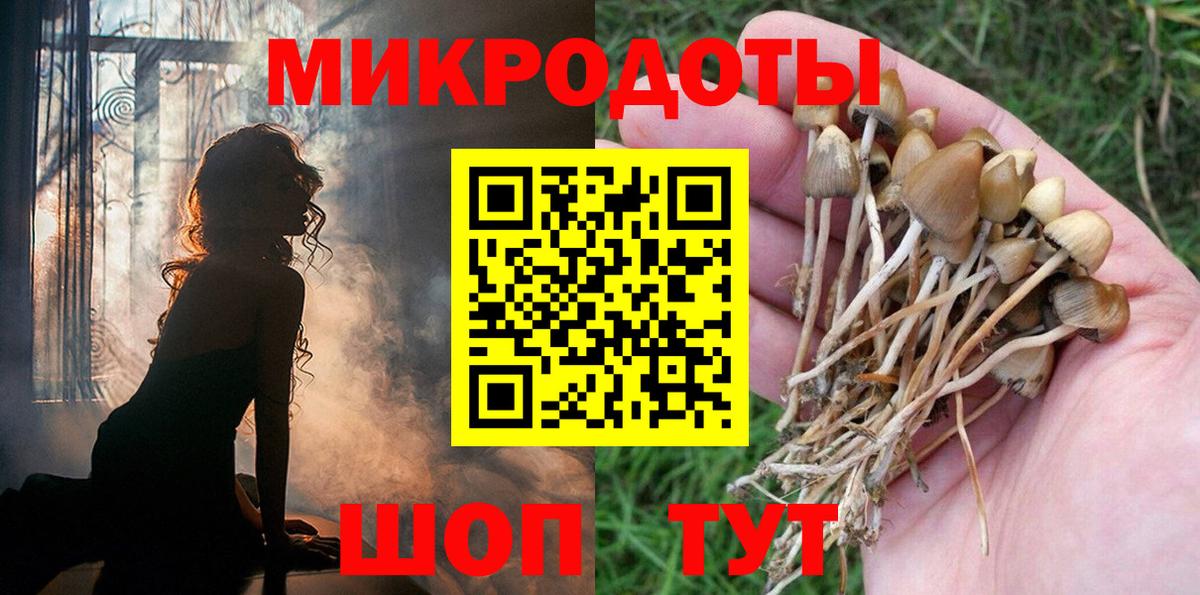 Ейск  Галлюциногенные грибы MAGIC MUSHROOMS  как найти   Вход с VPN  Галлюциногенные грибы мицелий 